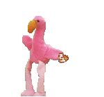 flamingo